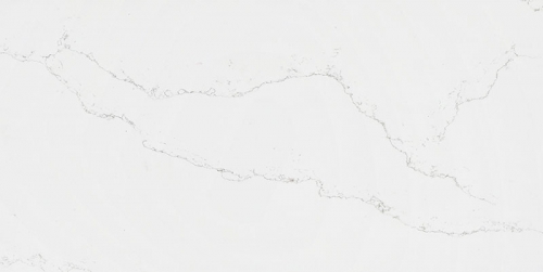 WSG301FP
